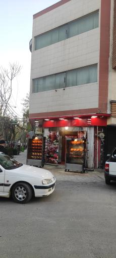 عکس 1 — مرغ بریان
