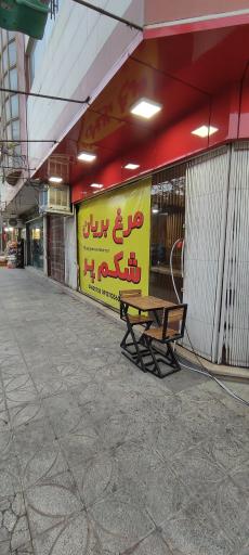 عکس 5 — مرغ بریان