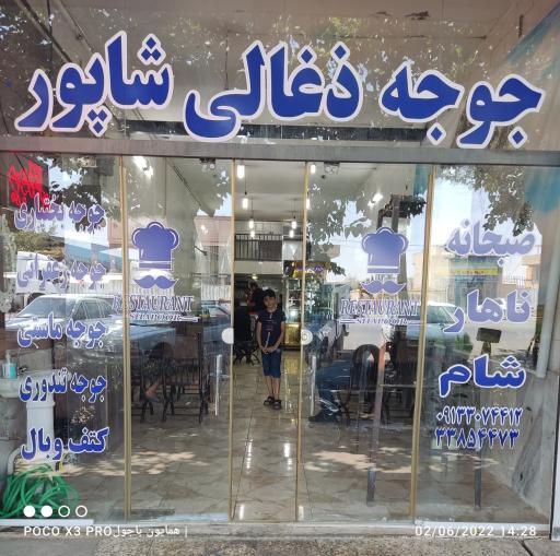 عکس 1 — جوجه ذغالی شاپور