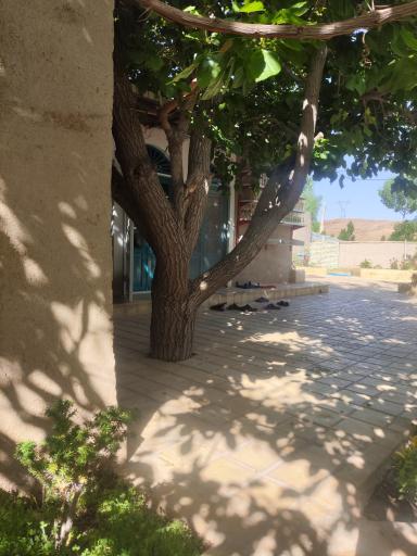 عکس 1 — رستوران باغ شمعدونی