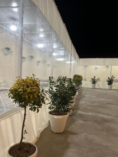 عکس 4 — باغ رستوران هیوا