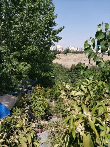 عکس 3 — رستوران باغ سهیل