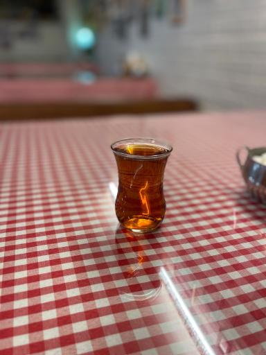 عکس 5 — دیزی سرای عمو یحیی