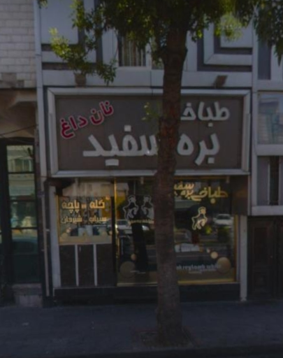 عکس 1 — طباخی بره سفید