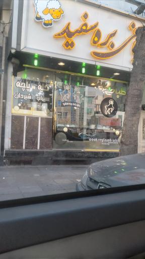 عکس 2 — طباخی بره سفید