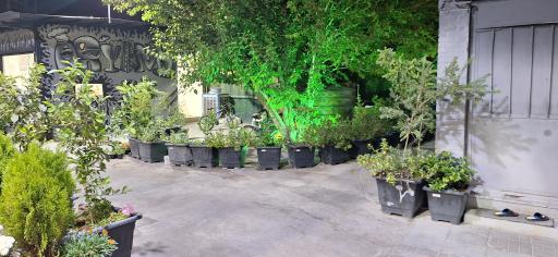 عکس 4 — کافه رستوران آریانا