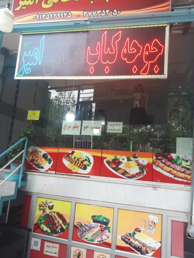 عکس 1 — جوجه کبابی زغالی امیر