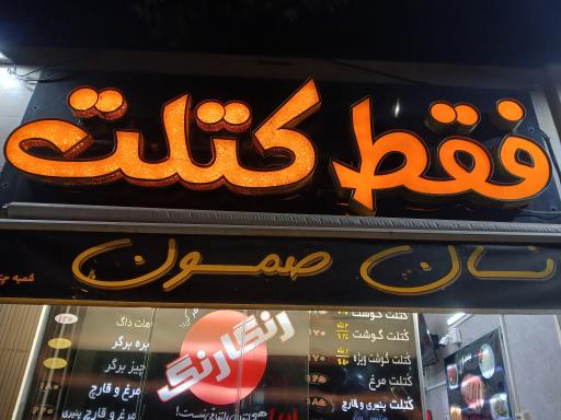 عکس 2 — فقط کتلت