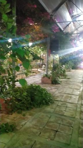 عکس 3 — باغ رستوران کلبه راز