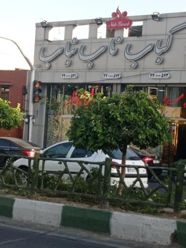 عکس 3 — رستوران کباب ناب بناب