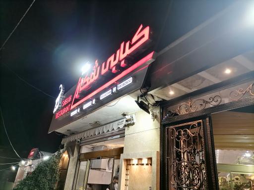 عکس 2 — کبابی شکار