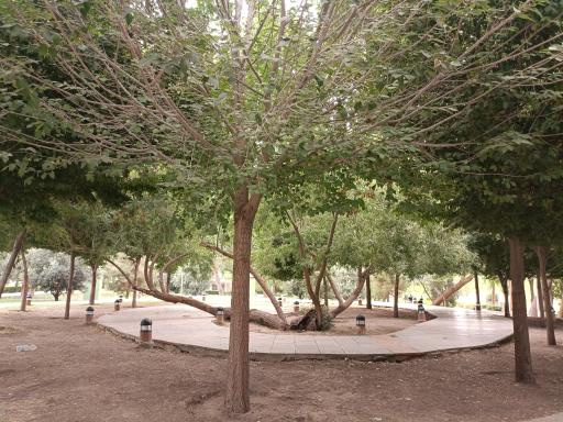 عکس 1 — پارک آبشار سوم