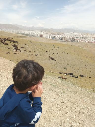 عکس 10 — فاز هشت