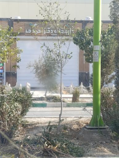 داروخانه دکتر فرانه احمدی