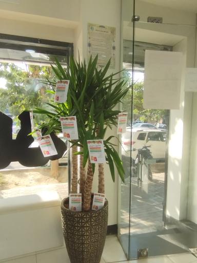 عکس 5 — داروخانه دکتر فرحناز شفیعی