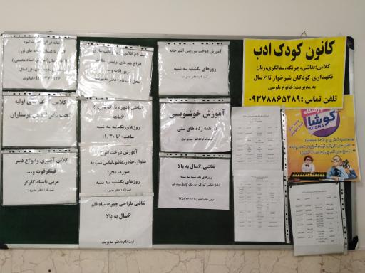 عکس 5 — سرای محله حسینی فردوس